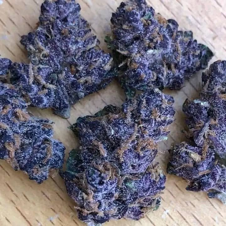 Purple Haze - Image 3