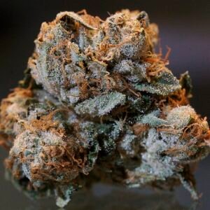Dried Bubba Kush"