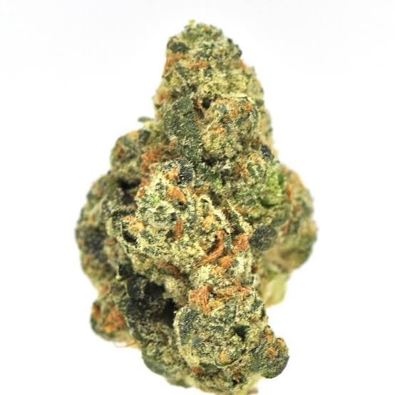 Snow balls - Image 5