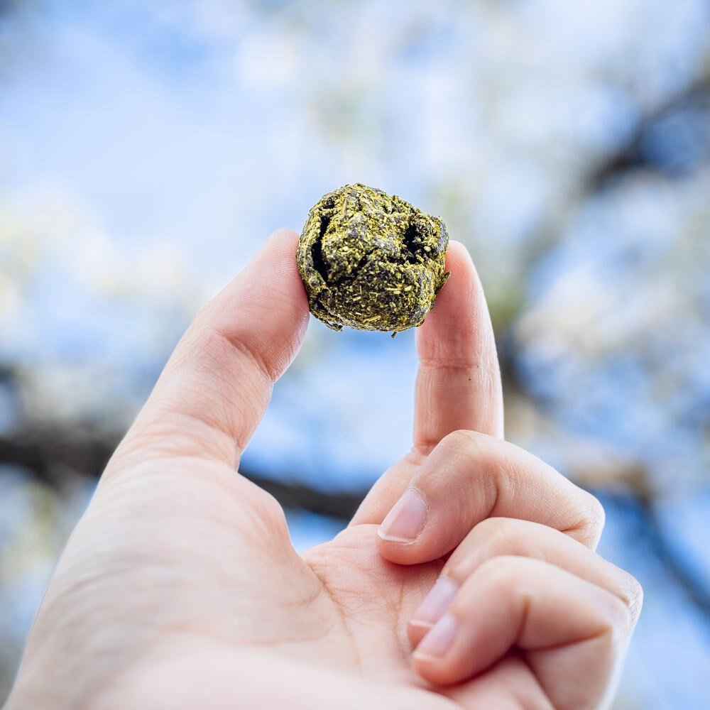 Moon Rocks - Image 8