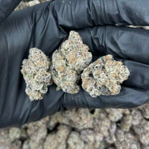 PRIVATE DANCE 🏆🏀BALLER BAG
✅INSANE NOSE 
✅HEAVY INDICA 
✅STICKY FROSTY 🥶
✅SMALL BATCH LIVING SOIL